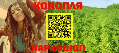 ПСИЛОЦИБИНОВЫЕ ГРИБЫ Камышлов