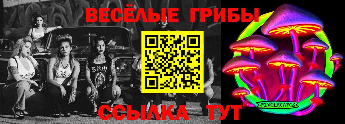 Галлюциногенные грибы MAGIC MUSHROOMS  Вход с VPN  Магнитогорск 